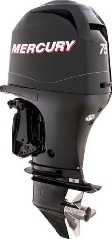 Mercury Marine 75 EFI